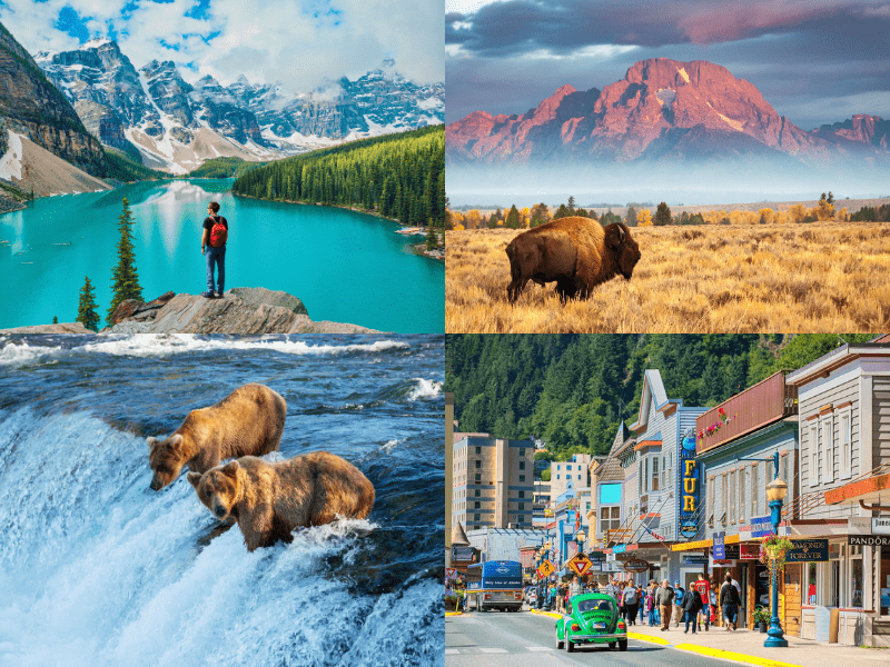 /photos/shares/UnitedStates/Yellowstone__Bear.jpeg
