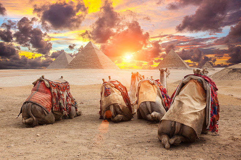 17 Day South Africa and Egypt Tour with Flights