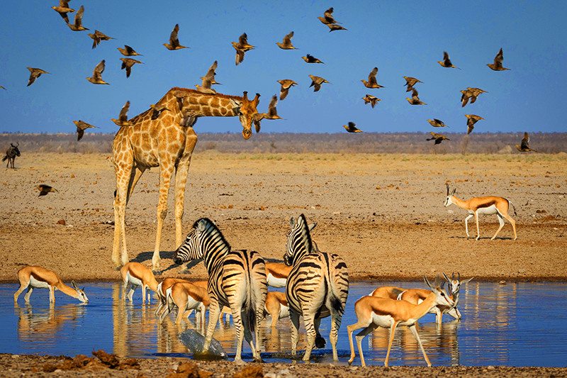 17 Day South Africa and Egypt Tour with Flights